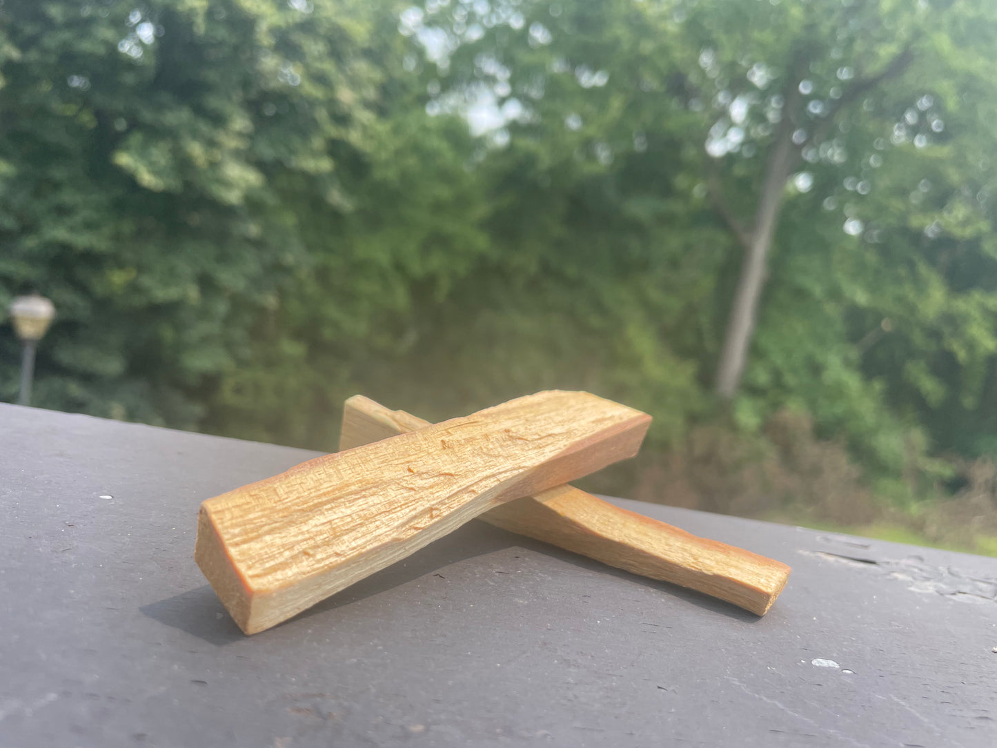 Palo Santo Smudge Stick