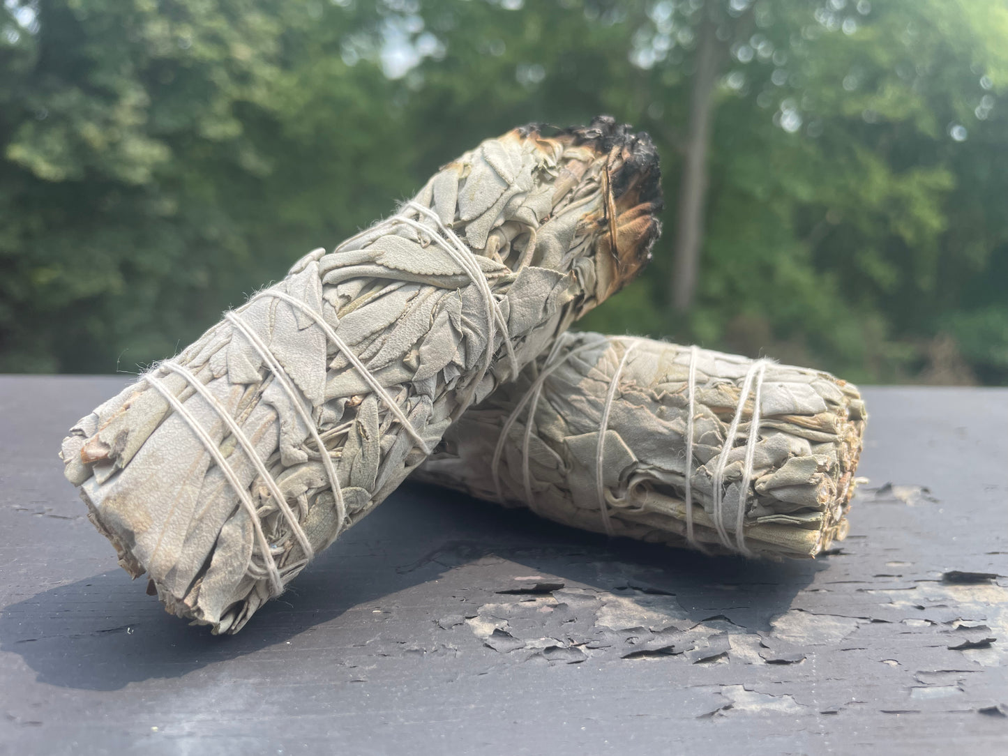 White Sage Smudge Sticks